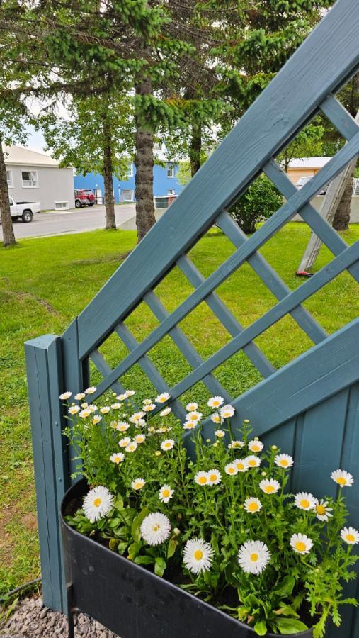 B&B Rooms Husavik 1 Luaran gambar